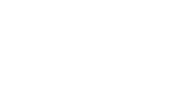 Wise Wellness Center - footer logo